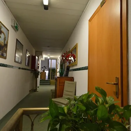 阿尔伯格玛林酒店 威尼斯
